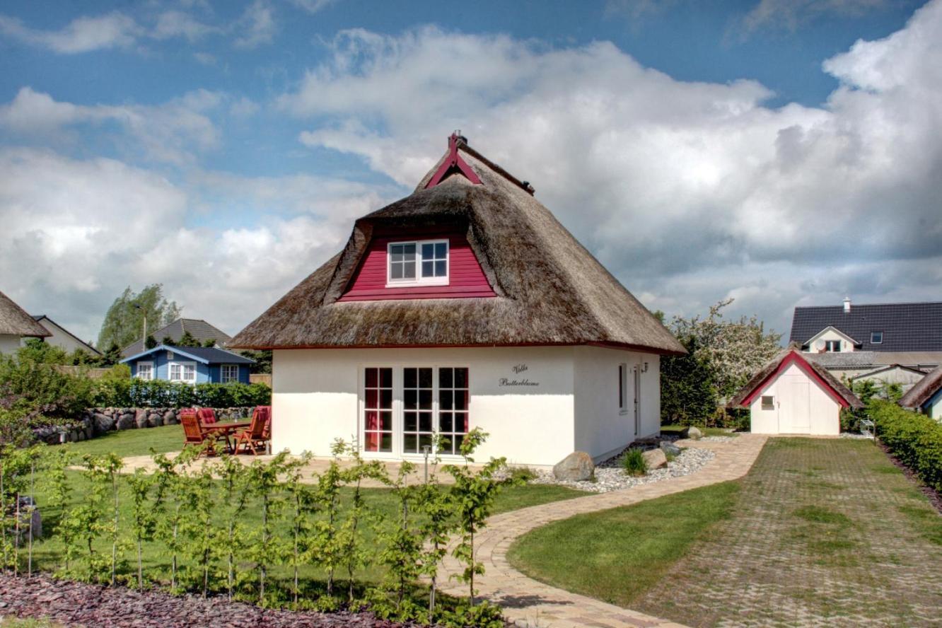 Villa Butterblume Zinnowitz Exterior photo